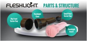 Fleshlights Infographs