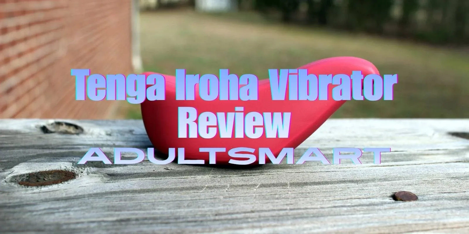 Tenga and Fleshlight