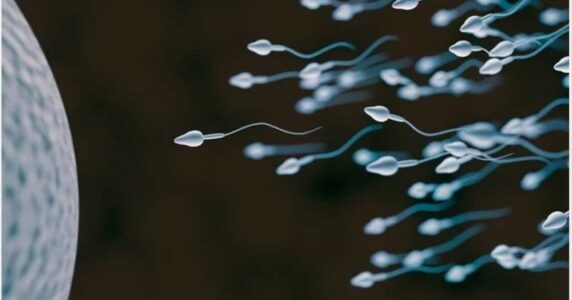 Improve Male Fertility By Increasing Sperm Volume