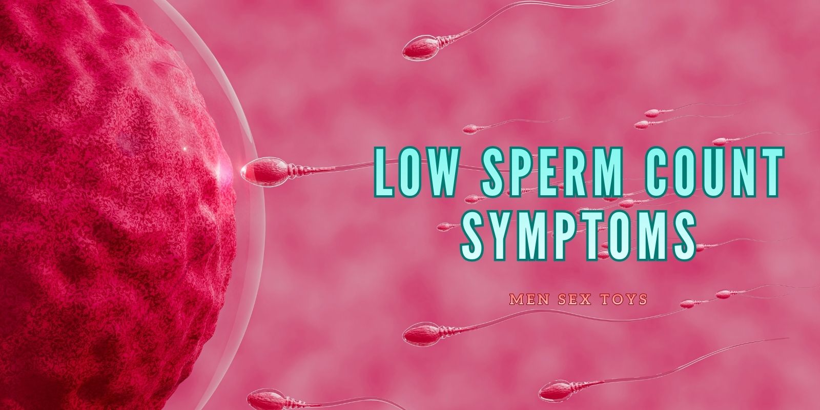 male reproductive health,